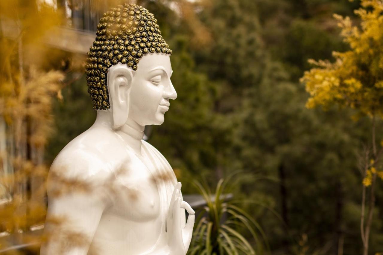 Golden Fern Resort Shimla Dış mekan fotoğraf